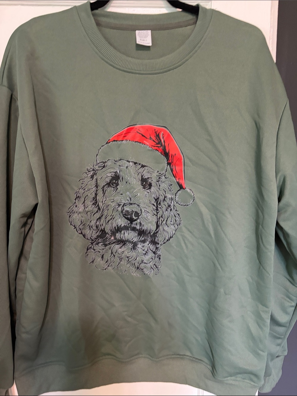 Dog Graphic Sweatshirt in Sage with Red Santa Hat